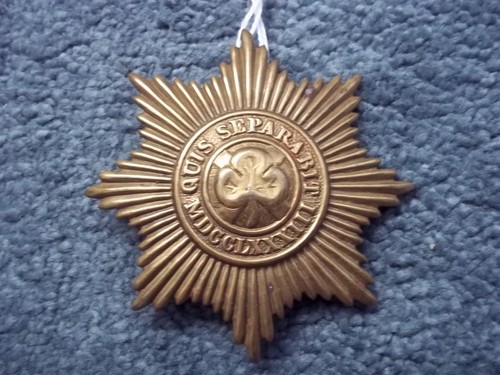 Irish guards sabretache badge - guards,